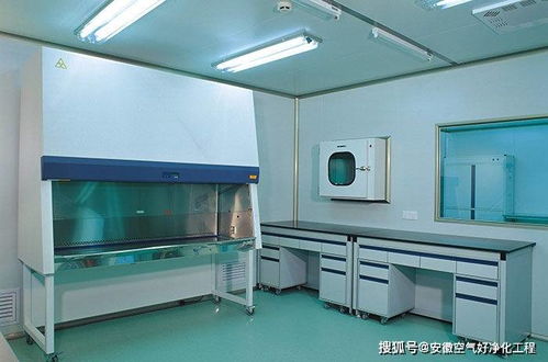 合肥市無菌凈化車間設計與施工 以惟物實驗室為例的實踐解析